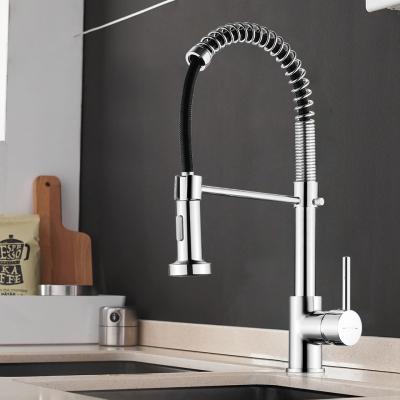 K4102 Kitchen Faucet
